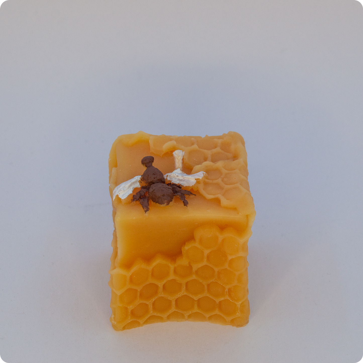 Kerze Bienenmotiv